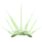 Cactus Thorn