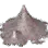 Powder of Time