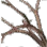 Monk's Branch