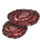 Sky Mushroom