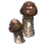 Tiger Mushroom