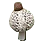 Dictyophora