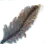 Supreme Fancy Feather