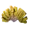 Golden Coral