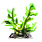 Prairie Green Coral
