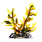 Golden Sun Coral