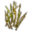 Barley