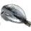 Dried Tuna