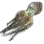 Dried Octopus