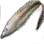 Dried Striped Catfish
