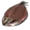 Dried Pintado