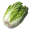 Napa Cabbage