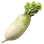 Radish