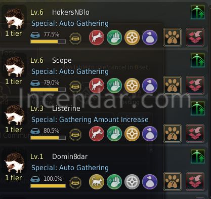 Bdo Hedgehog Pet Information How To Use And Is It Worth It Or