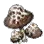 Amanita Mushroom