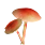 Volcanic Umbrella Mushroom
