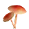 Volcanic Umbrella Mushroom