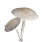 White Umbrella Mushroom