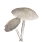 White Umbrella Mushroom