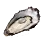 Oyster