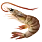 Shrimp