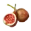 Fig