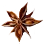 Star Anise