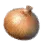 Onion ingredient