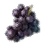 Grape