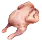 Bird Meat