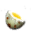 Boiled Bird Eggs ingredient