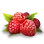 Wild Berry image