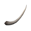 Ancient Rhino Horn