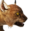 Island Lynx Cub