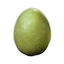 Shoebill Egg