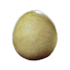 Sand Reaper Egg 