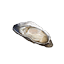 Cooked Oyster