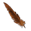 Devolved Harpy Feather