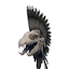 Exceptional Hyena Skull Helmet