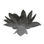 Grey Lotus Flower