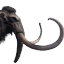 Tamed Mammoth