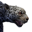 Greater Jaguar