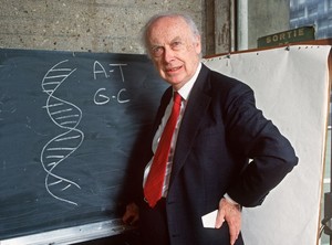 A Picture of James Watson