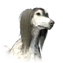 Dog Demeniss Unique 1