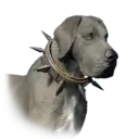 Righteous Arrows Dog 31195