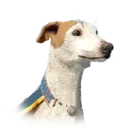 Royal Hunting Ground Greyhound 30182