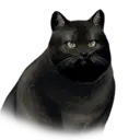 Cat Delesyian Unique 1