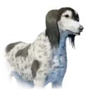 Dog Demeniss Unique 1