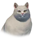 Fat White Cat