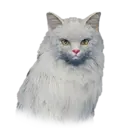 White Norwegianforest